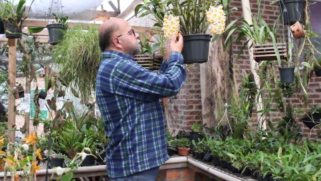 Observe se as plantas precisam de outros cuidados Observe se as orquídeas precisam de outros cuidados